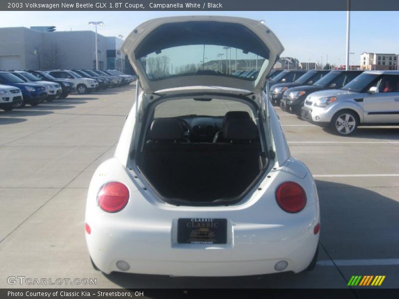 Campanella White / Black 2003 Volkswagen New Beetle GLX 1.8T Coupe