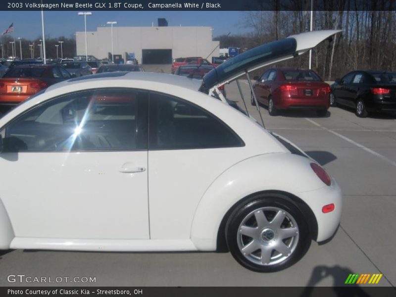 Campanella White / Black 2003 Volkswagen New Beetle GLX 1.8T Coupe
