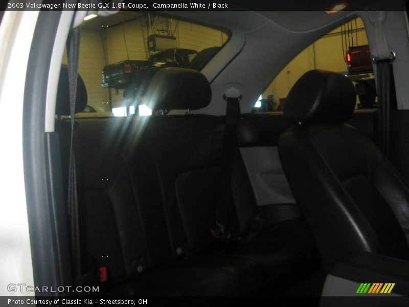 Campanella White / Black 2003 Volkswagen New Beetle GLX 1.8T Coupe