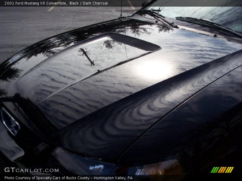 Black / Dark Charcoal 2001 Ford Mustang V6 Convertible