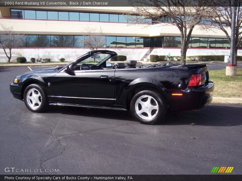 Black / Dark Charcoal 2001 Ford Mustang V6 Convertible