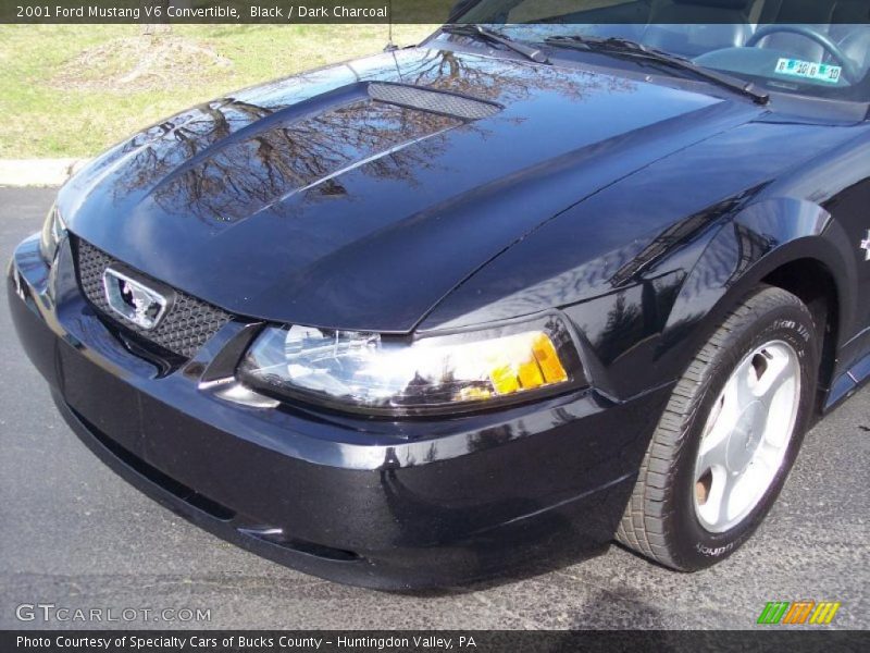 Black / Dark Charcoal 2001 Ford Mustang V6 Convertible