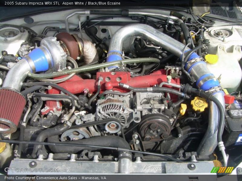 Aspen White / Black/Blue Ecsaine 2005 Subaru Impreza WRX STi