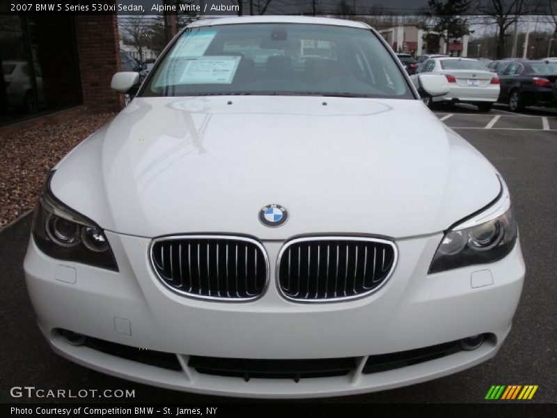 Alpine White / Auburn 2007 BMW 5 Series 530xi Sedan