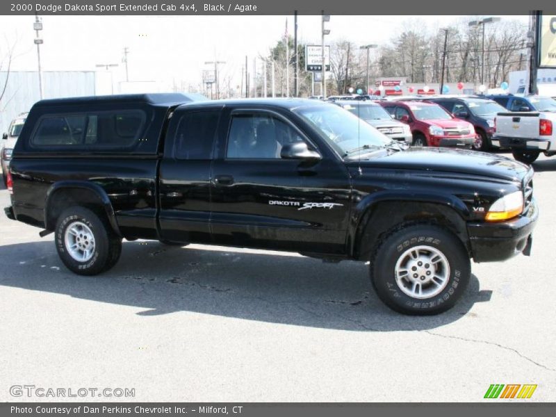 Black / Agate 2000 Dodge Dakota Sport Extended Cab 4x4