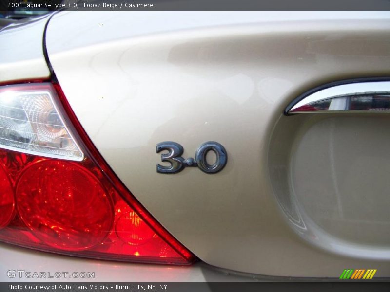 Topaz Beige / Cashmere 2001 Jaguar S-Type 3.0