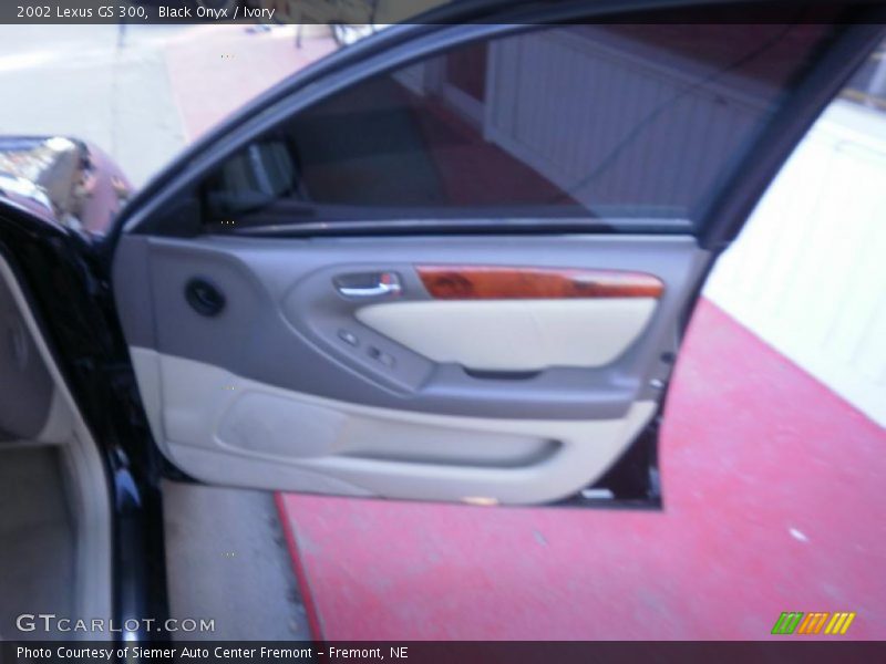 Black Onyx / Ivory 2002 Lexus GS 300