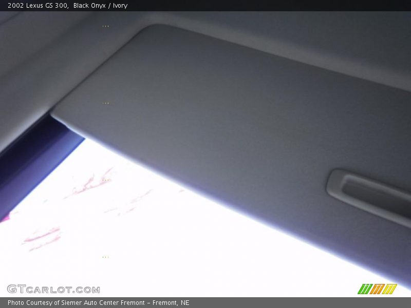 Black Onyx / Ivory 2002 Lexus GS 300