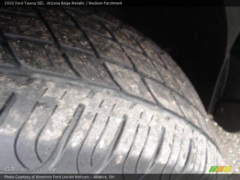 Arizona Beige Metallic / Medium Parchment 2003 Ford Taurus SES