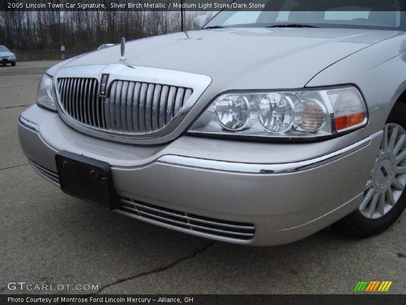 Silver Birch Metallic / Medium Light Stone/Dark Stone 2005 Lincoln Town Car Signature