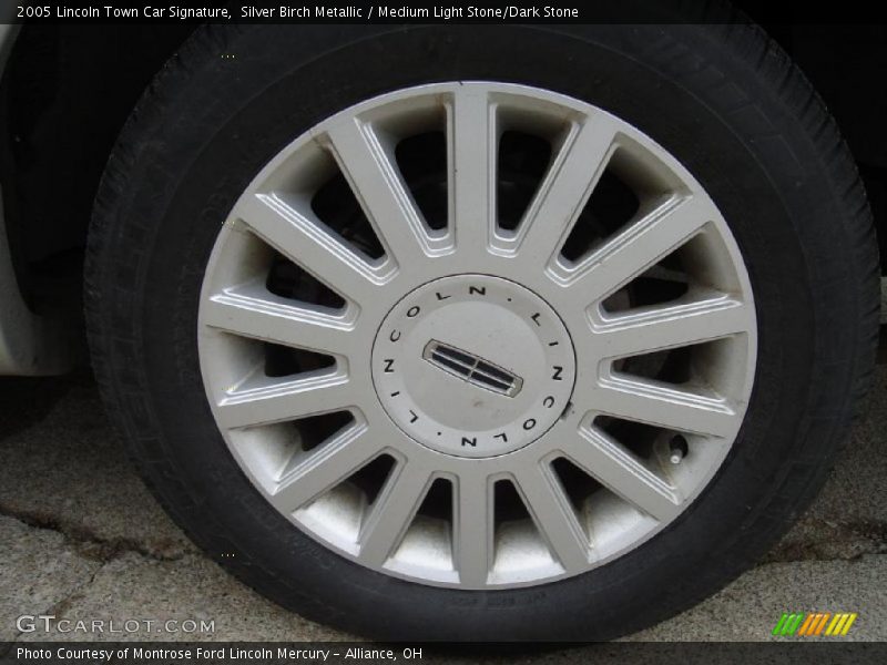 Silver Birch Metallic / Medium Light Stone/Dark Stone 2005 Lincoln Town Car Signature