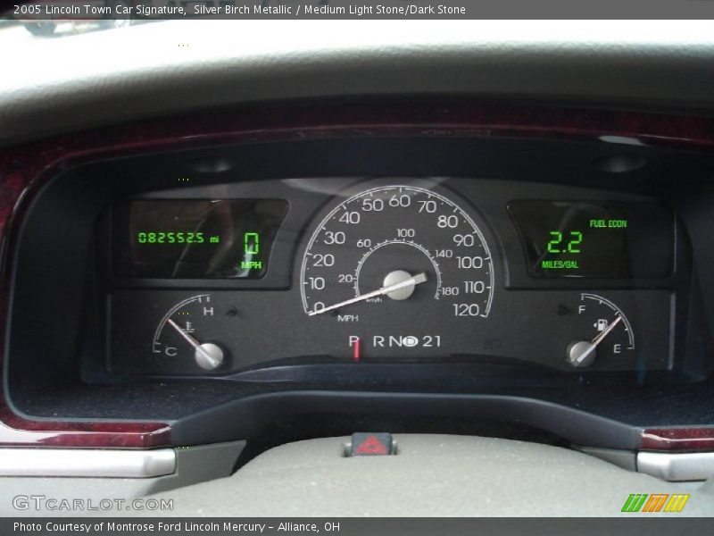 Silver Birch Metallic / Medium Light Stone/Dark Stone 2005 Lincoln Town Car Signature