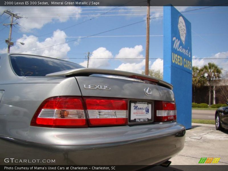 Mineral Green Metallic / Sage 2000 Lexus ES 300 Sedan