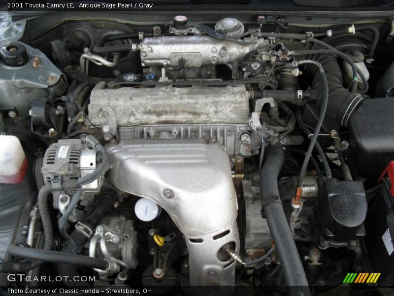 Antique Sage Pearl / Gray 2001 Toyota Camry LE