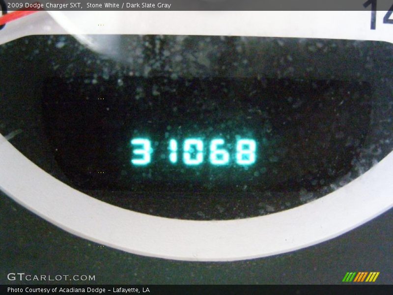 Stone White / Dark Slate Gray 2009 Dodge Charger SXT