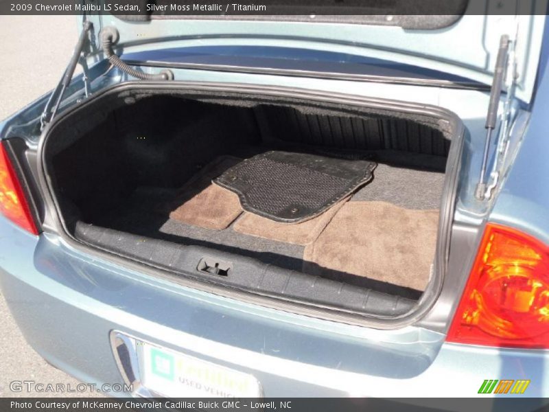 Silver Moss Metallic / Titanium 2009 Chevrolet Malibu LS Sedan