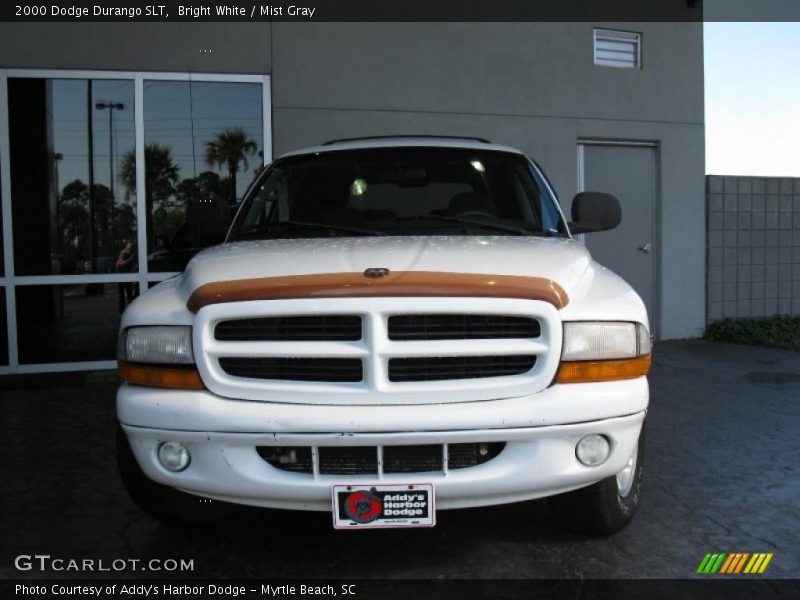 Bright White / Mist Gray 2000 Dodge Durango SLT