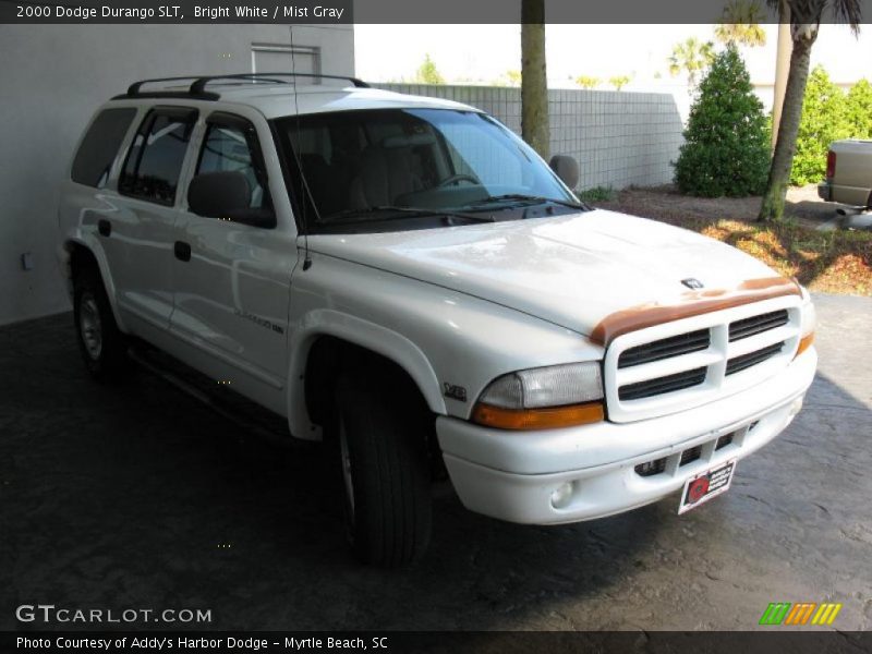 Bright White / Mist Gray 2000 Dodge Durango SLT
