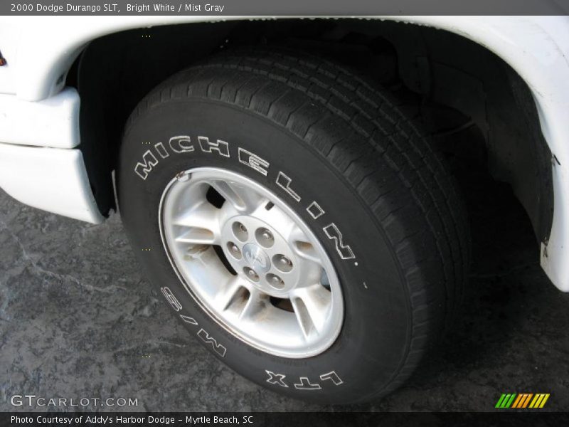 Bright White / Mist Gray 2000 Dodge Durango SLT