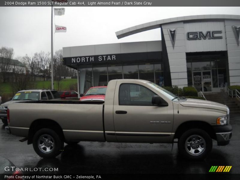 Light Almond Pearl / Dark Slate Gray 2004 Dodge Ram 1500 SLT Regular Cab 4x4