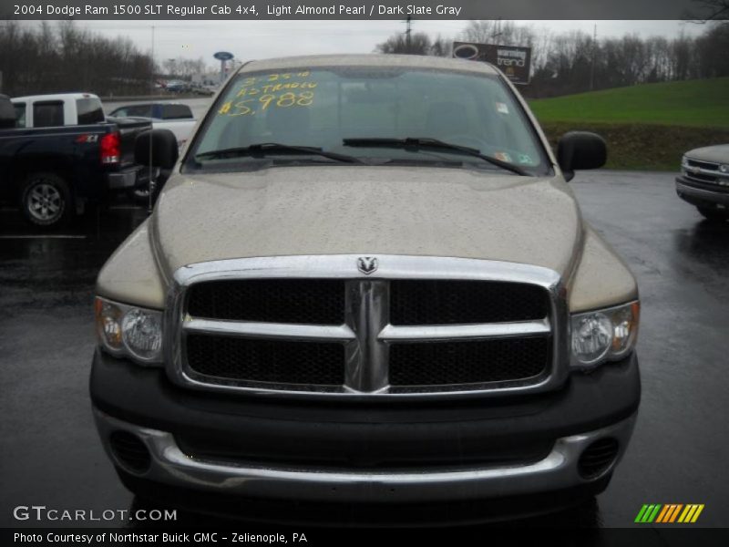 Light Almond Pearl / Dark Slate Gray 2004 Dodge Ram 1500 SLT Regular Cab 4x4
