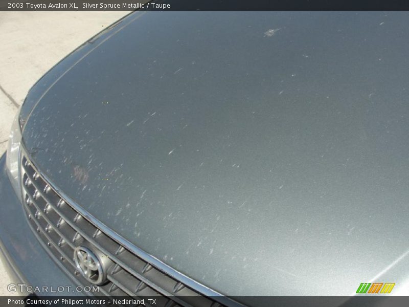 Silver Spruce Metallic / Taupe 2003 Toyota Avalon XL