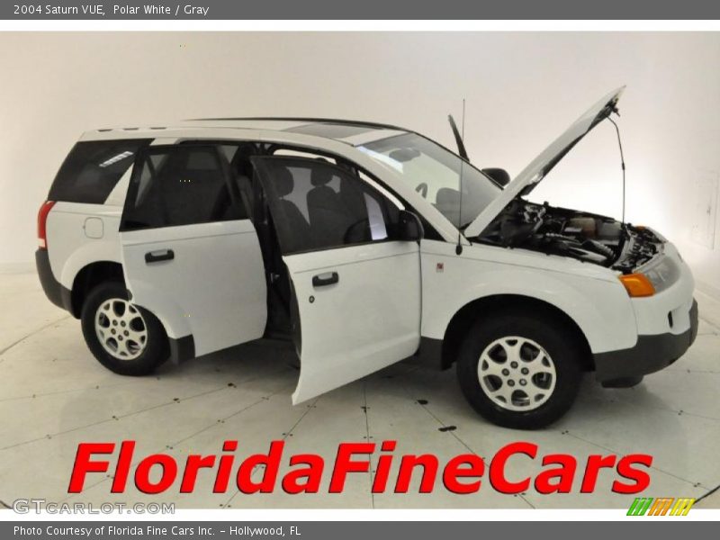 Polar White / Gray 2004 Saturn VUE