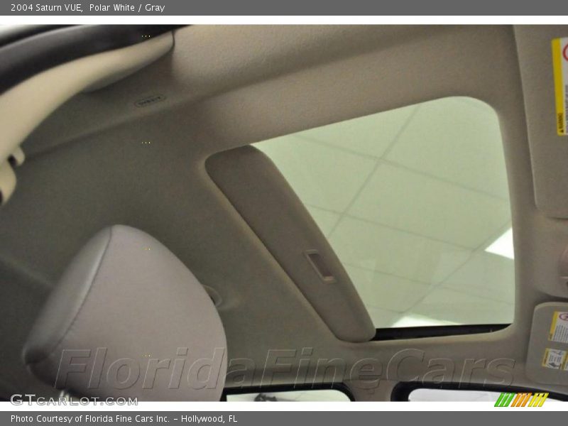 Polar White / Gray 2004 Saturn VUE
