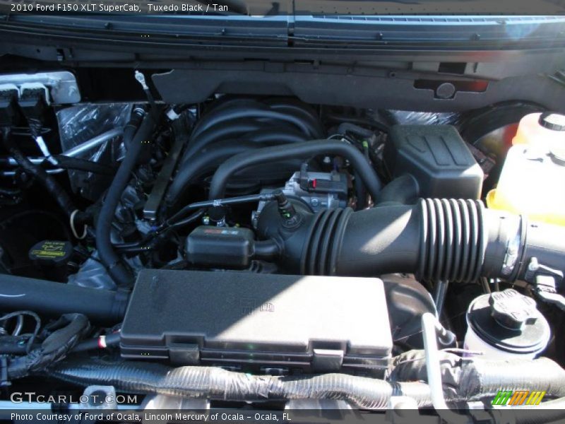 Tuxedo Black / Tan 2010 Ford F150 XLT SuperCab