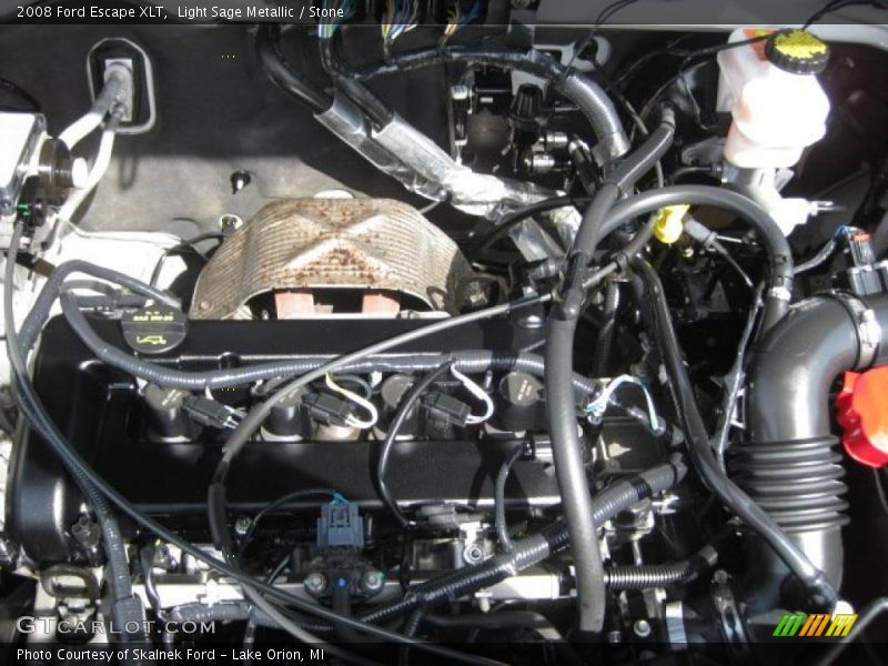 Light Sage Metallic / Stone 2008 Ford Escape XLT