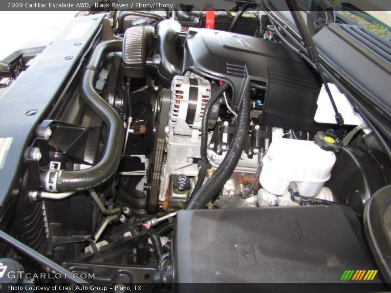 Black Raven / Ebony/Ebony 2009 Cadillac Escalade AWD