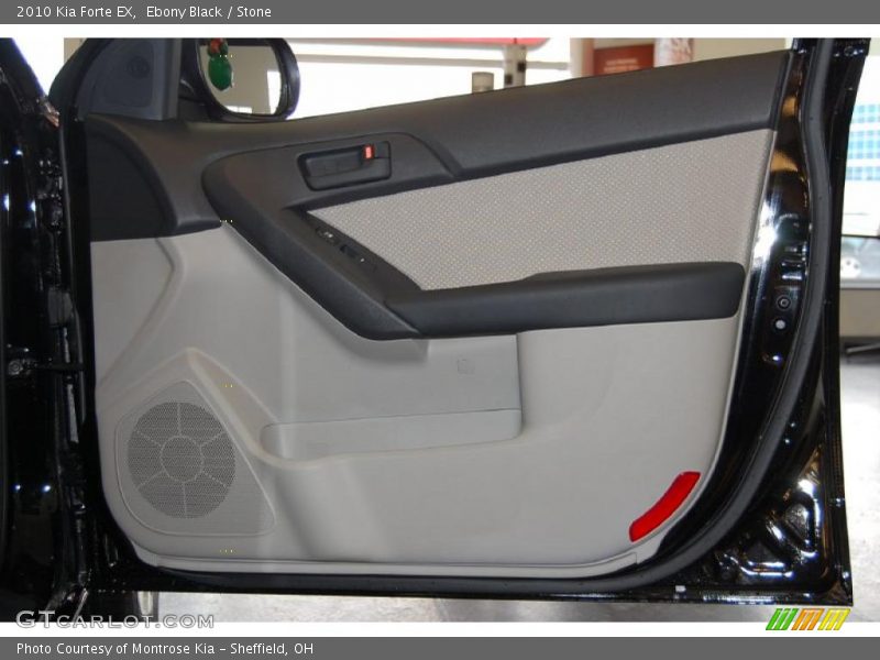Ebony Black / Stone 2010 Kia Forte EX