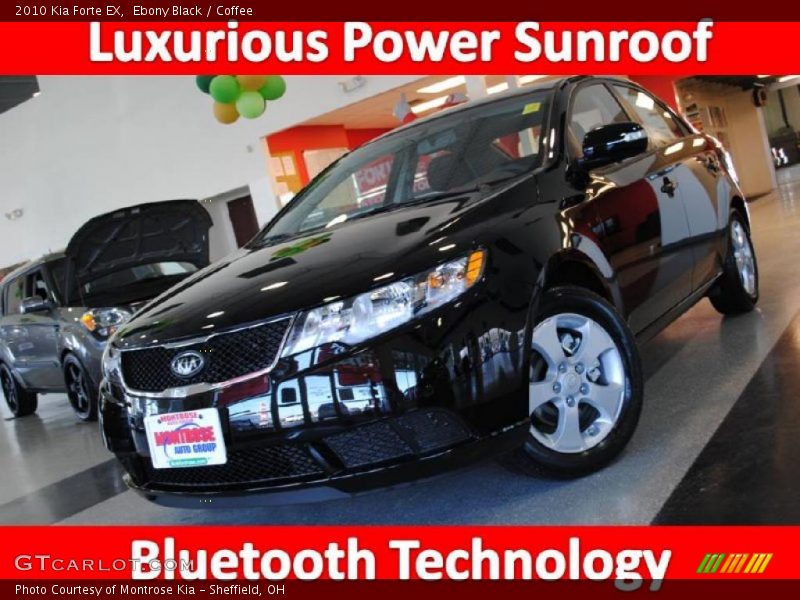Ebony Black / Coffee 2010 Kia Forte EX