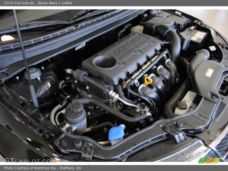Ebony Black / Coffee 2010 Kia Forte EX