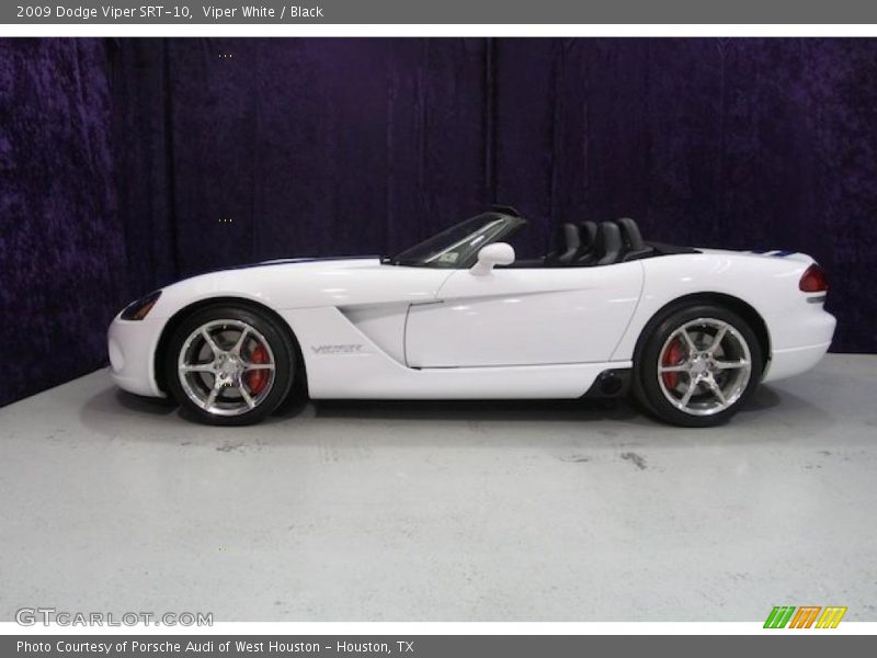 Viper White / Black 2009 Dodge Viper SRT-10