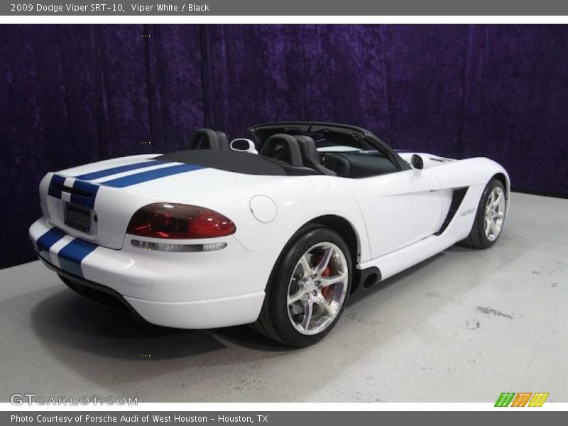 Viper White / Black 2009 Dodge Viper SRT-10