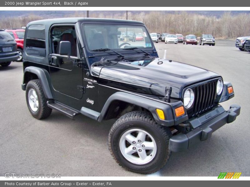 Black / Agate 2000 Jeep Wrangler Sport 4x4