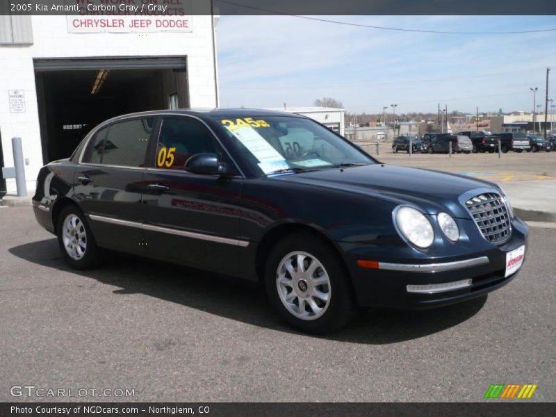 Carbon Gray / Gray 2005 Kia Amanti