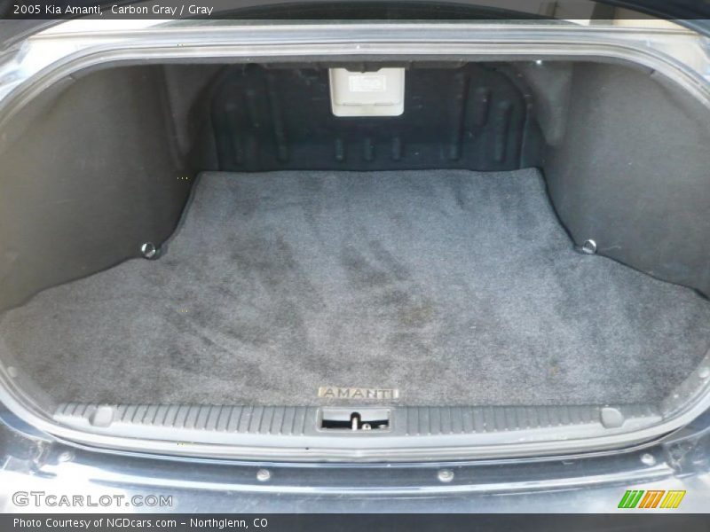 Carbon Gray / Gray 2005 Kia Amanti