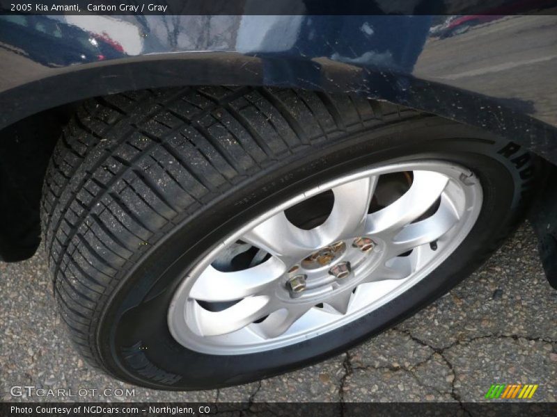 Carbon Gray / Gray 2005 Kia Amanti
