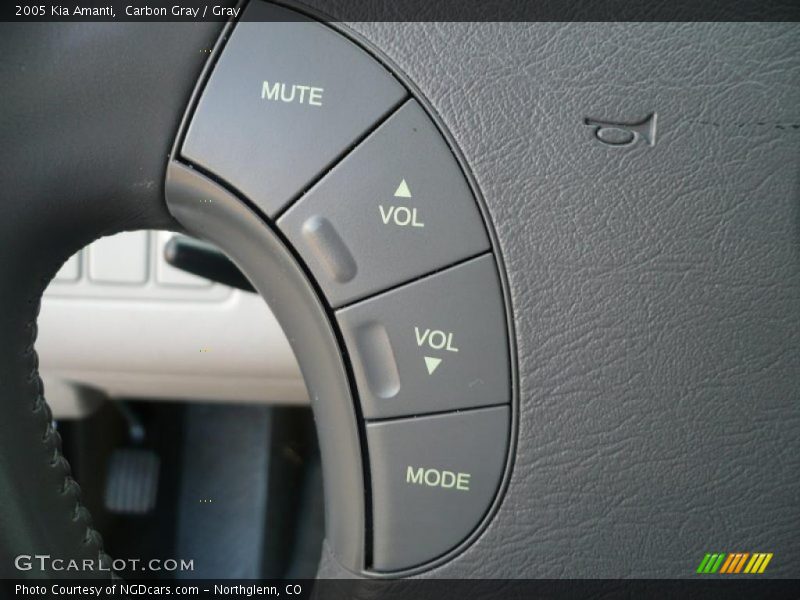 Carbon Gray / Gray 2005 Kia Amanti