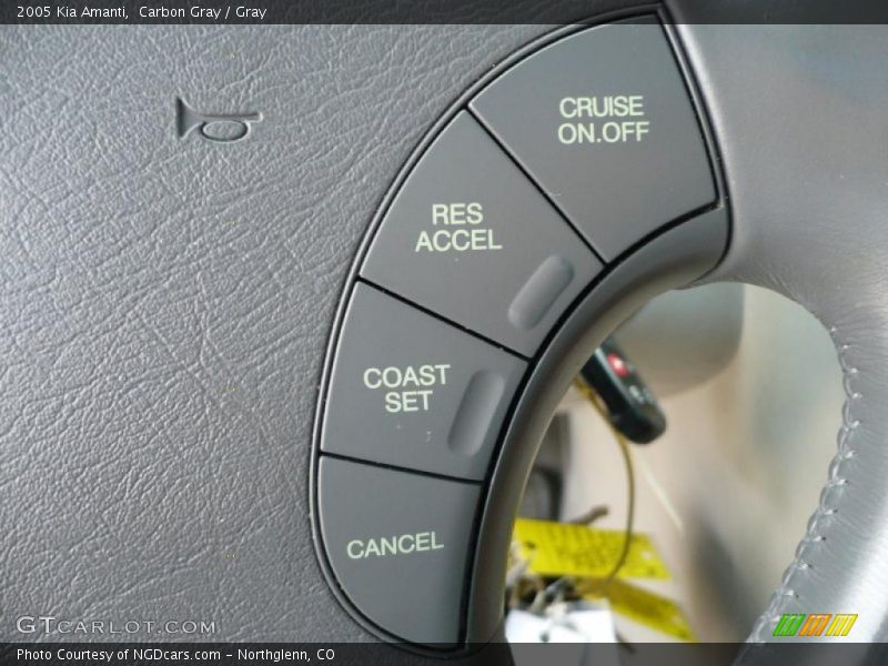 Carbon Gray / Gray 2005 Kia Amanti