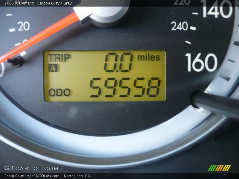 Carbon Gray / Gray 2005 Kia Amanti