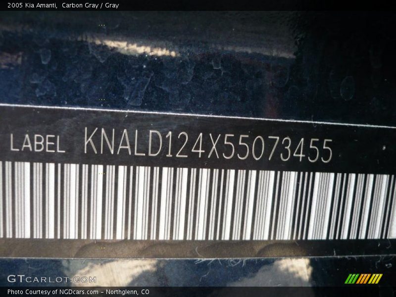 Carbon Gray / Gray 2005 Kia Amanti