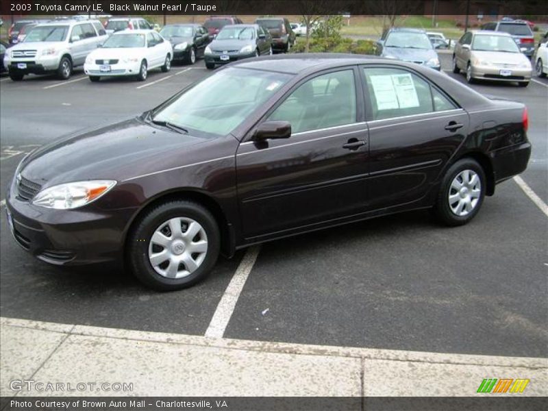 Black Walnut Pearl / Taupe 2003 Toyota Camry LE