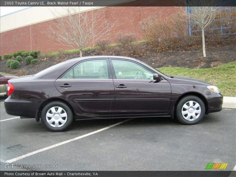 Black Walnut Pearl / Taupe 2003 Toyota Camry LE