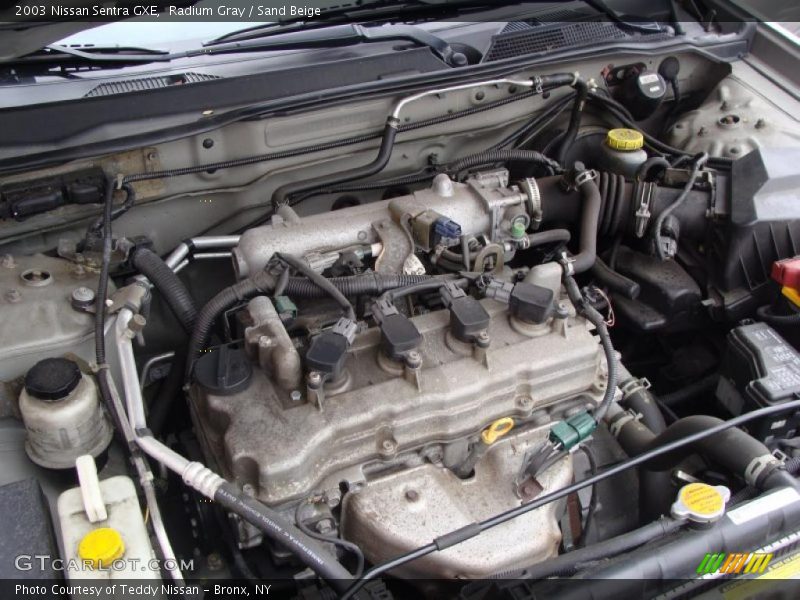 Radium Gray / Sand Beige 2003 Nissan Sentra GXE