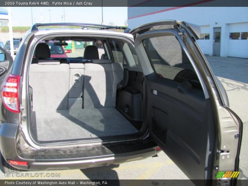 Pyrite Mica / Ash Gray 2009 Toyota RAV4 4WD