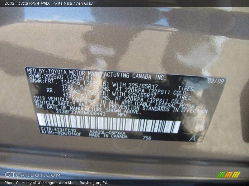 Pyrite Mica / Ash Gray 2009 Toyota RAV4 4WD