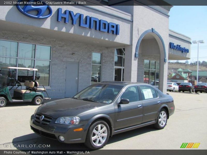 Gray Lustre Metallic / Black 2002 Nissan Maxima GLE